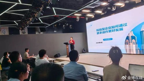 科技型企业如何通过资本运作实现高质量发展——以网络科技技术开发与运营为例